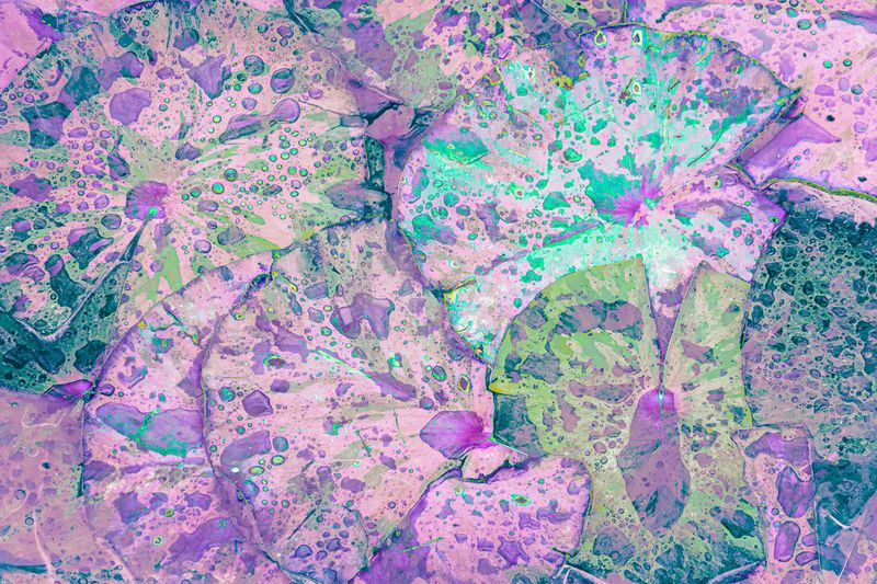 Magic Carpet by Jane Simmonds