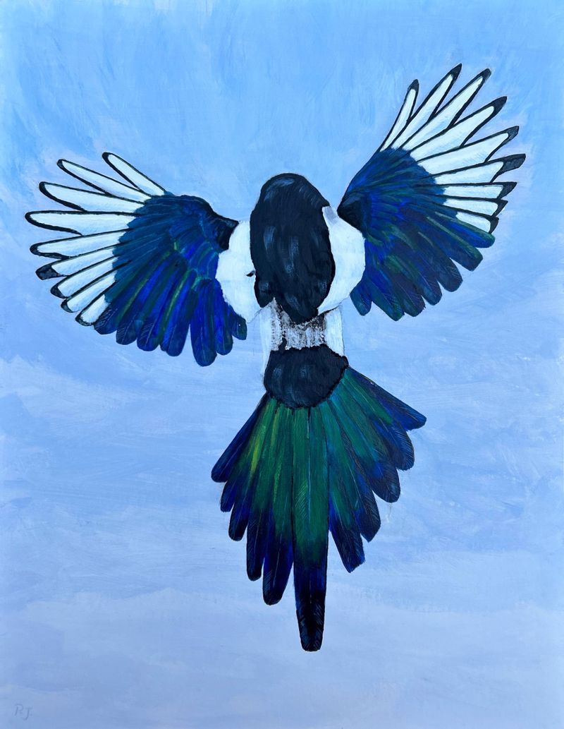 Magpie rises up and away. As a way of easing pain. Painted after the death of my dog.