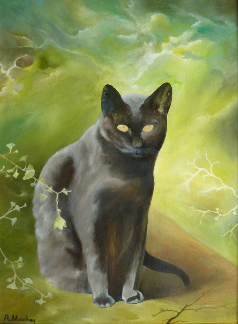Toby Cat