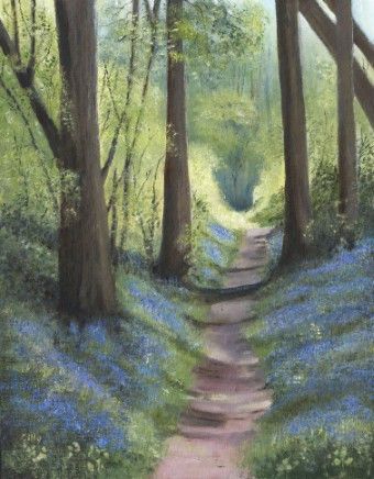 Bluebell Wood below British Camp