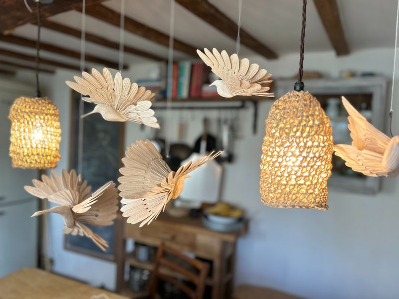 Soul Birds and Cro-Shade