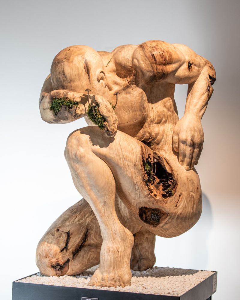 Transience - Wood, Bronze