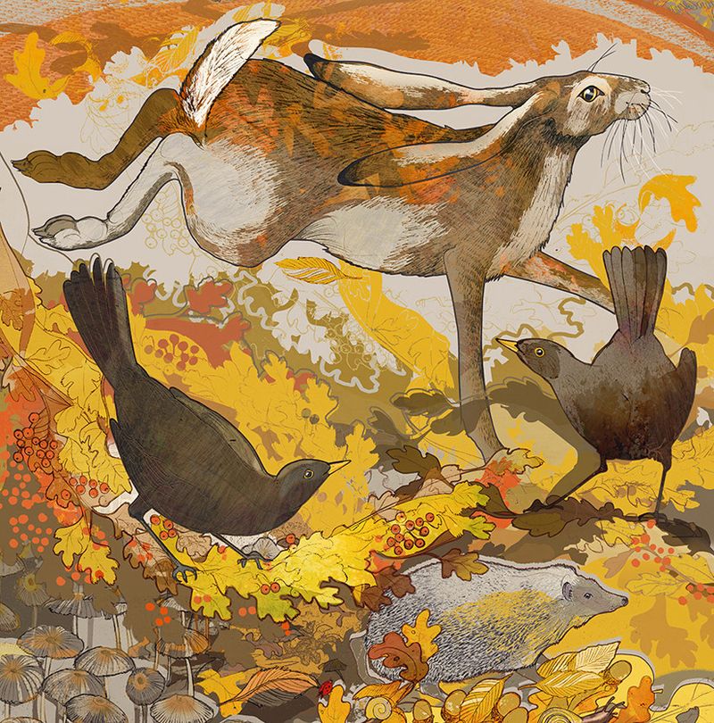 The Harvest Hares