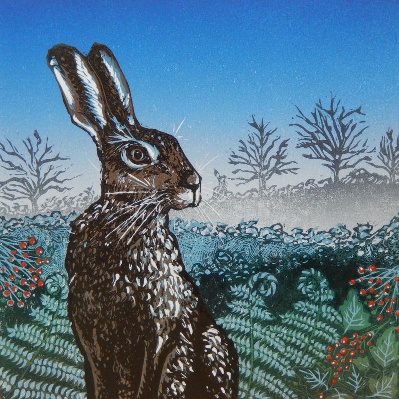 Winter Hare