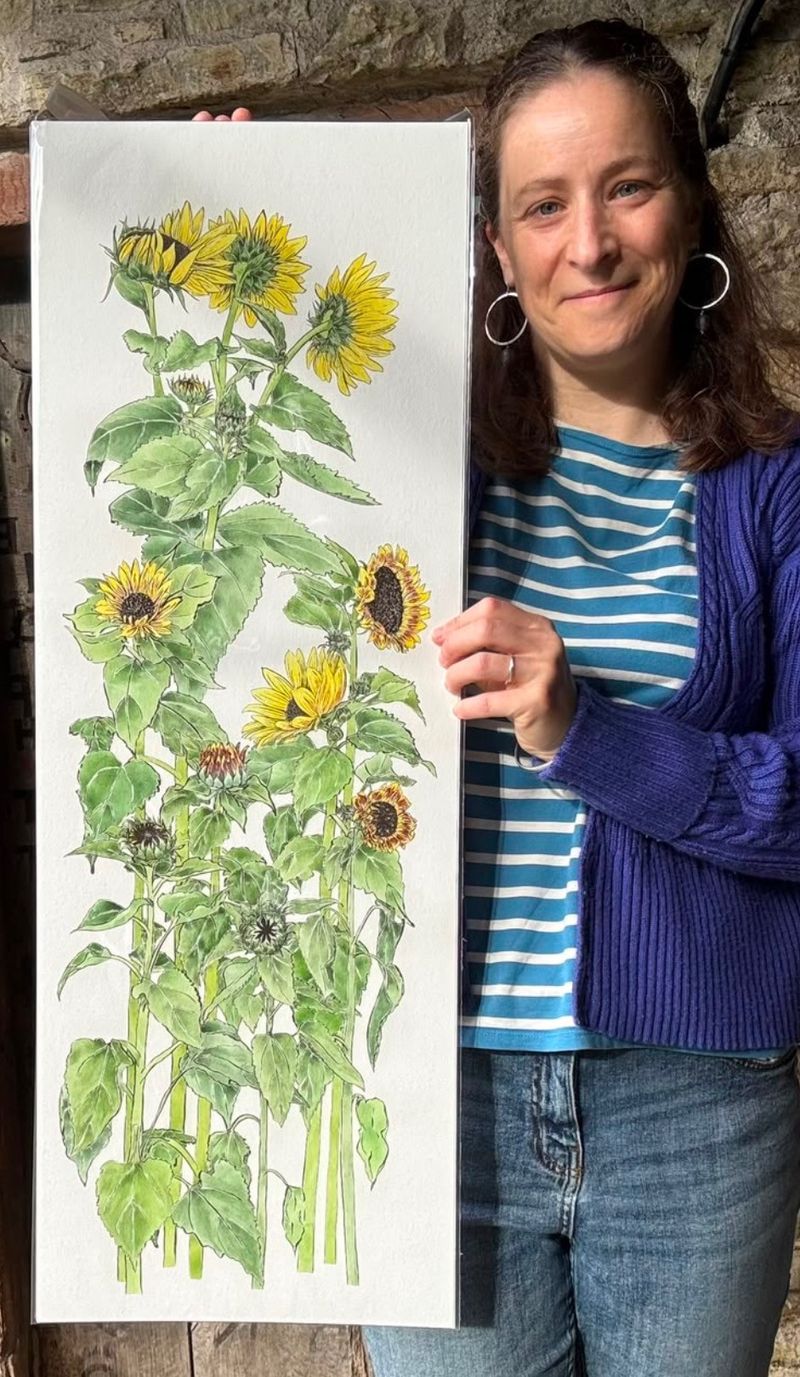 Sunflowers