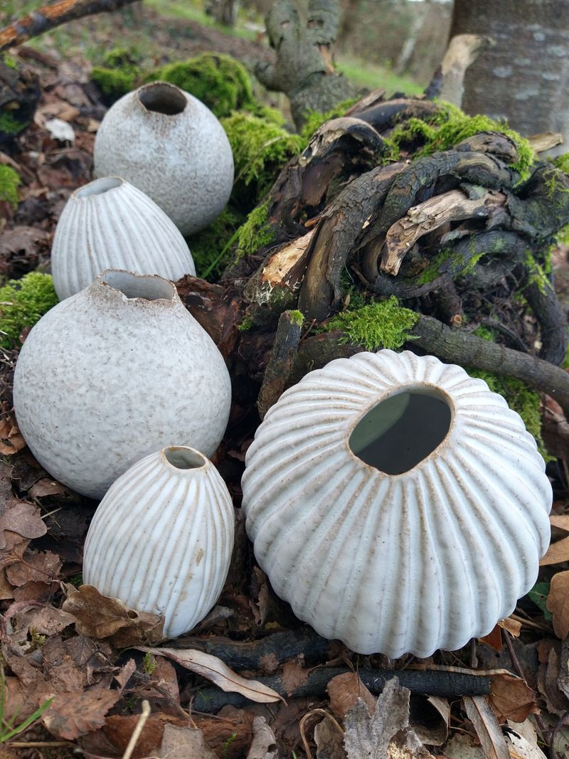 seed pod pots