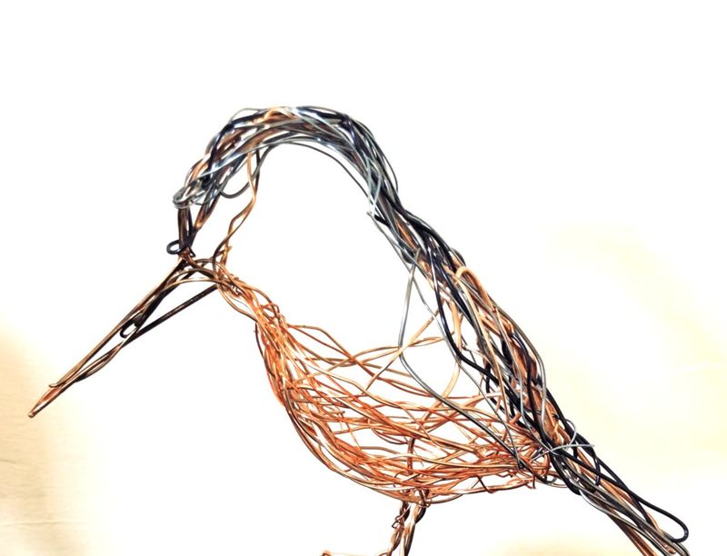 wire birds