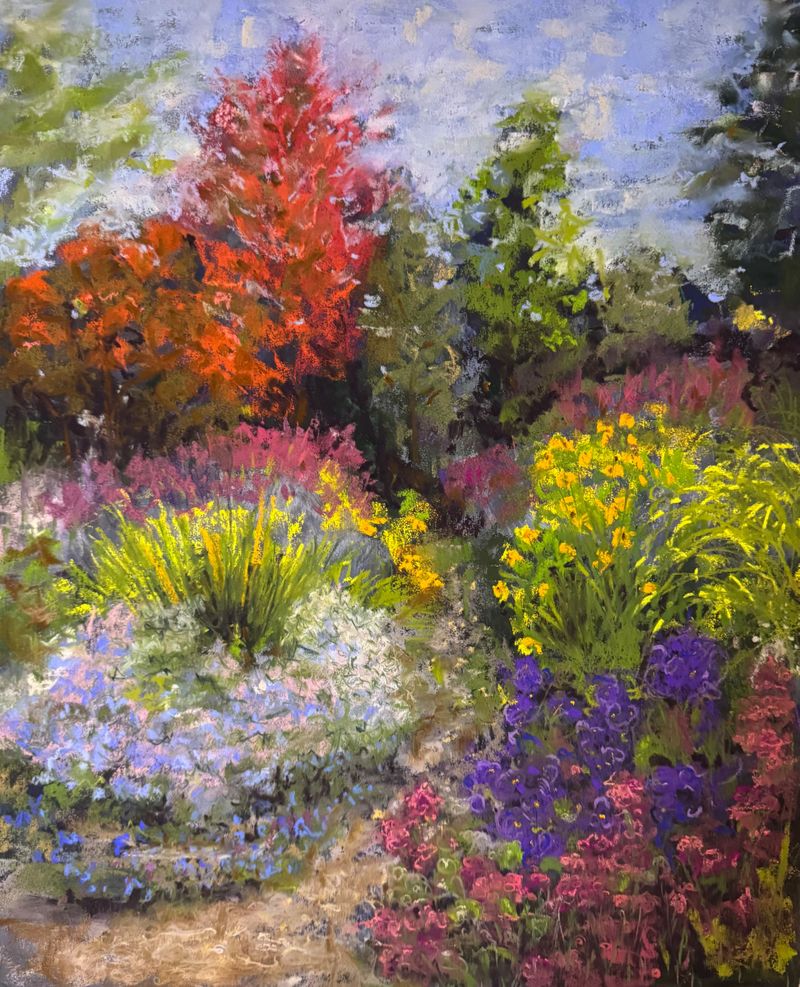 Michaelmas Star, The Picton Garden, Colwall