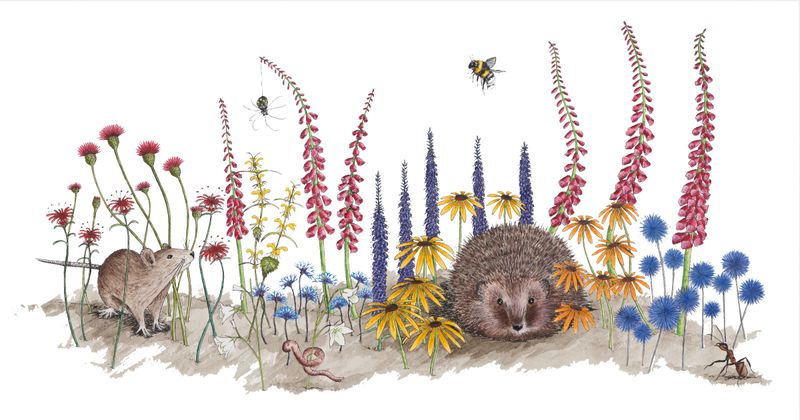 Cottage Garden... concept artwork for the children's book 'Bee and the Wrong Flowers'