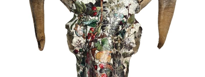 Jo Verity, Colours of Winter