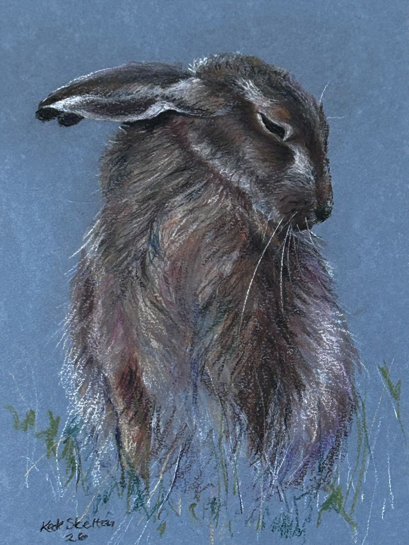 Hare