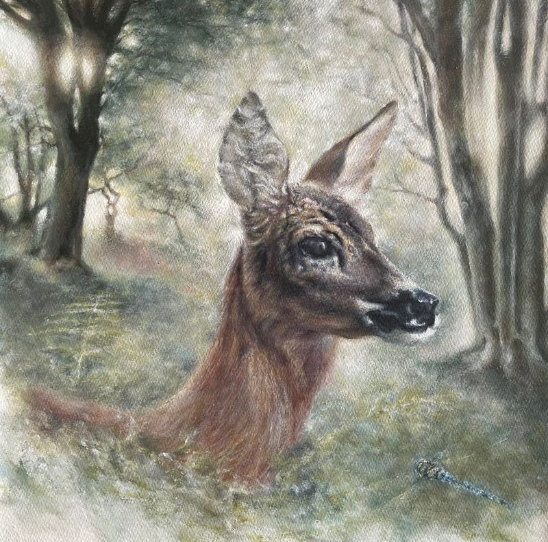 Roe Deer - New Dawn Collection