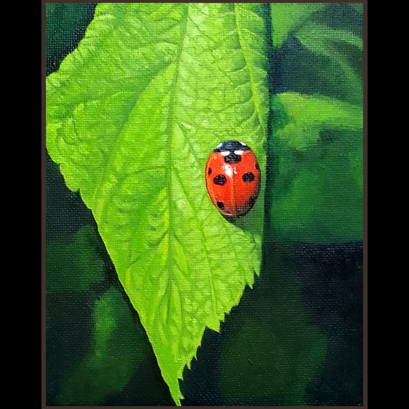 'Lonely ladybird '