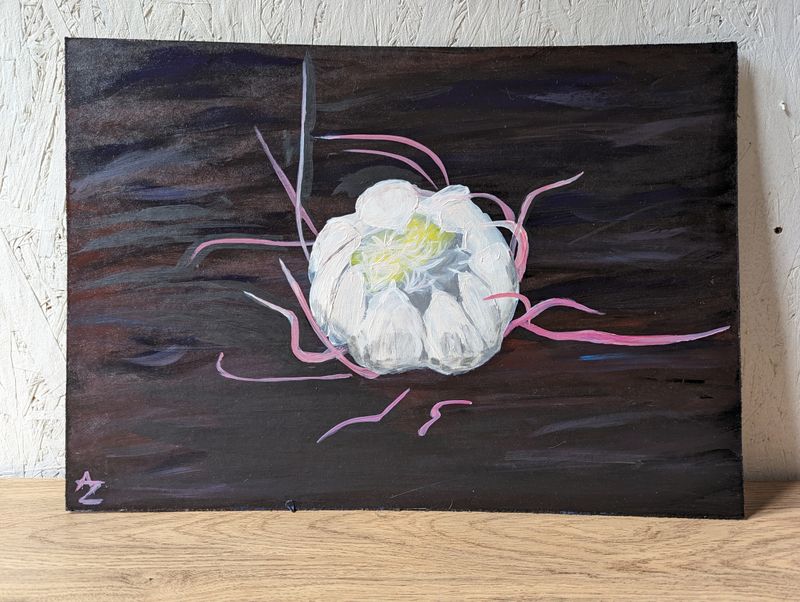 Night Blooming Cirhus