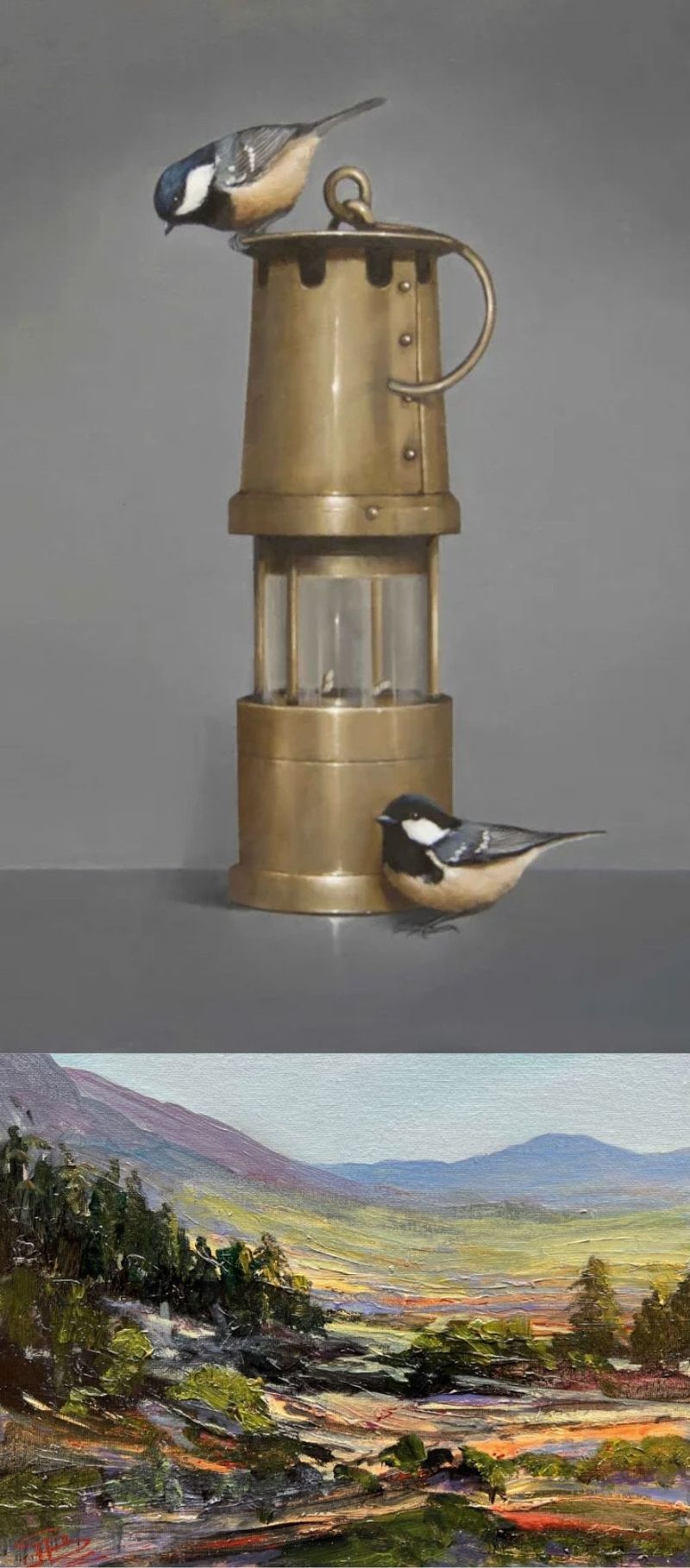 Coal Tits  & The Seeds You Plant