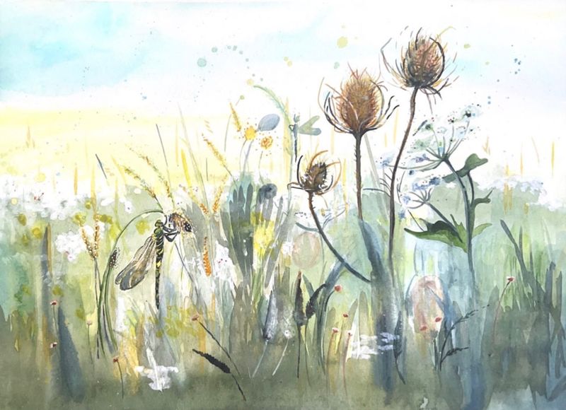 A watercolour original ‘Dragonfly Meadow’ painted onto high quality watercolour paper