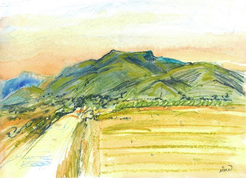 Blencathra Summer sunset