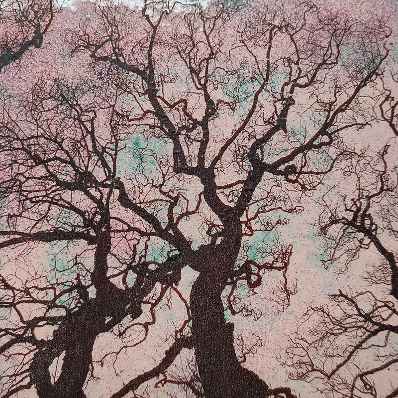 'Looking Up' Enamel picture