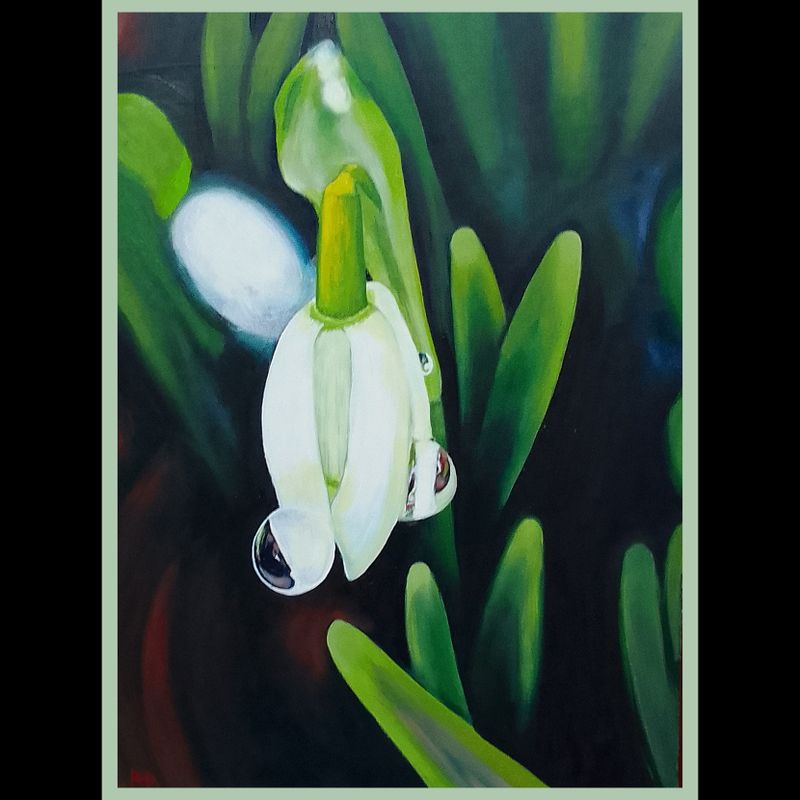 ' Morning Snowdrop ' oil on board