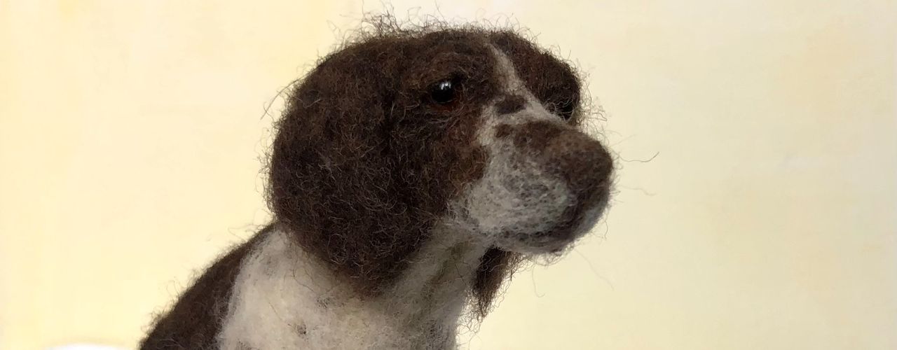 Springer Spaniel 'waiting'