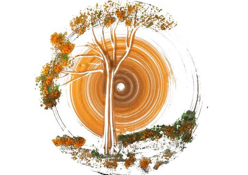 STRENGTH IN EVERY SEASON