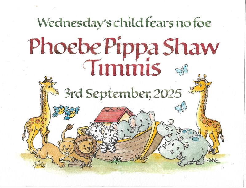 BIRTHDATE KEEPSAKE - EXAMPLE- any theme possible £40 + p&p - orders taken by email