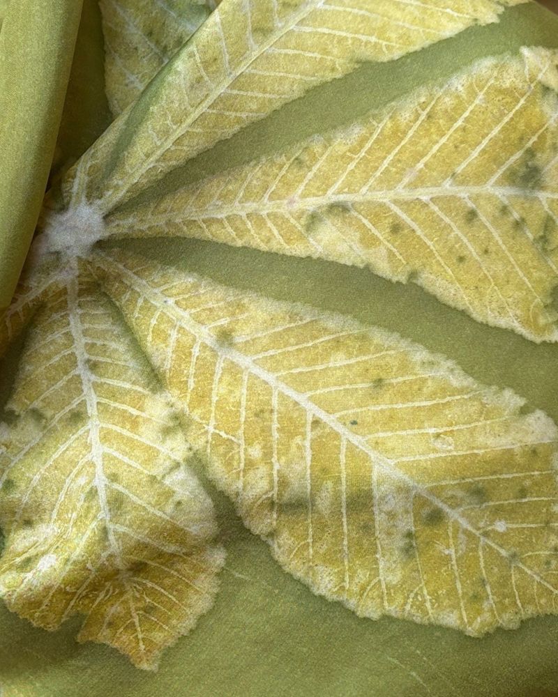 Close up of Botanically Printed Horse Chestnut Leaf on Naturally Hand Dyed Silk