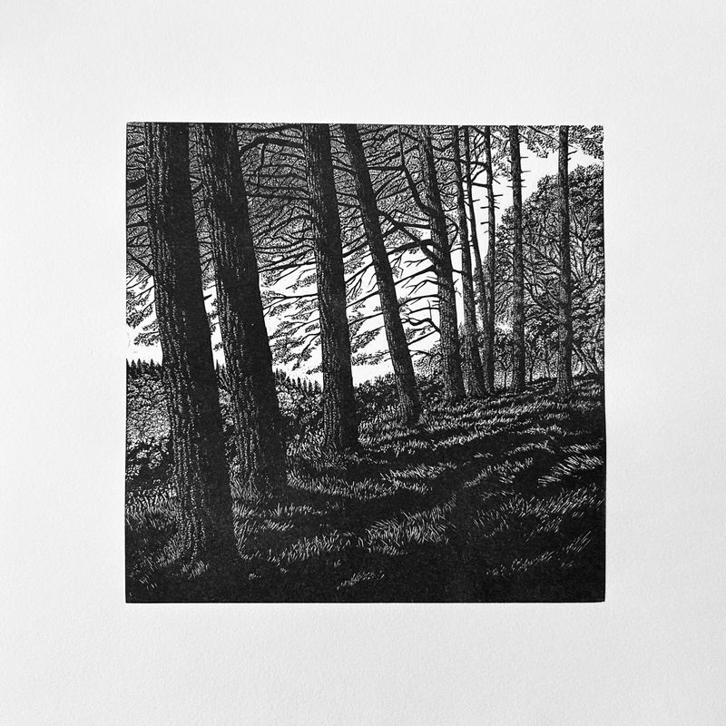 Richard Studer - Hergest Croft