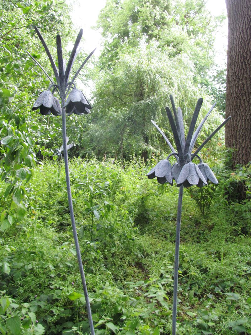 Crown Imperial Stems