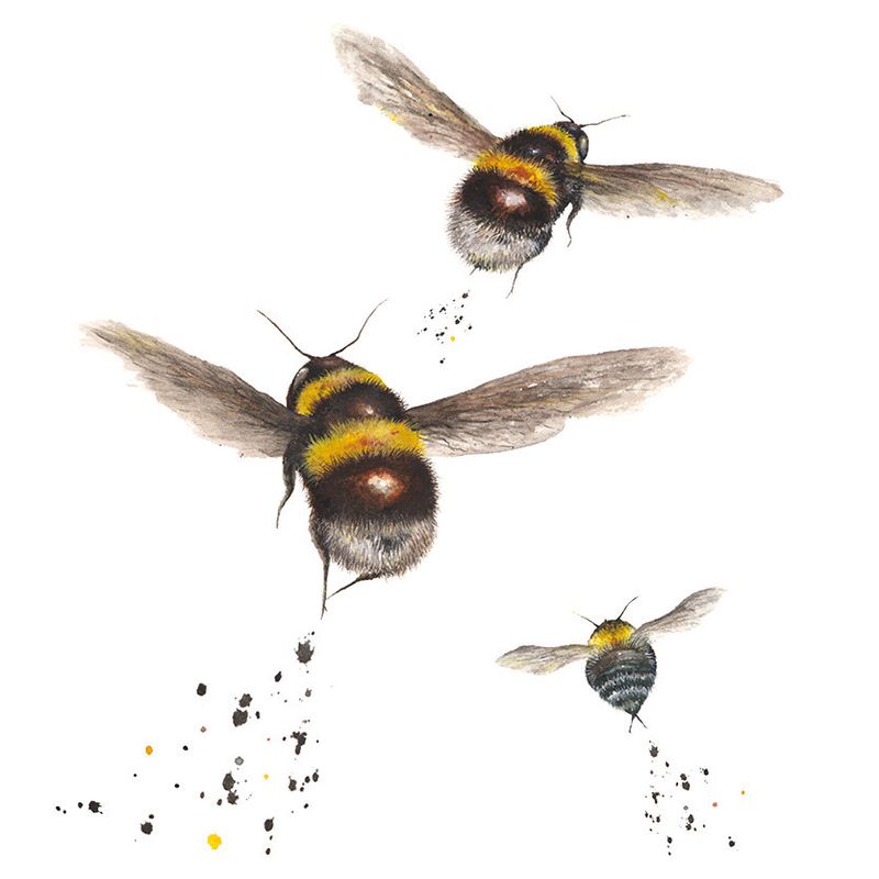 Bee Trio - Three wild hearts, one gentle buzz