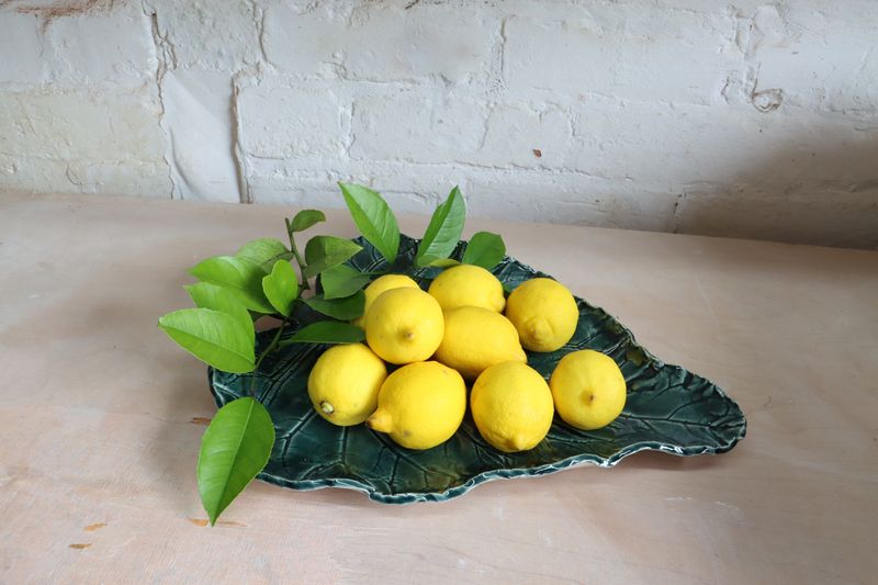 Rhubarb leaf serving dish/fruit bowl