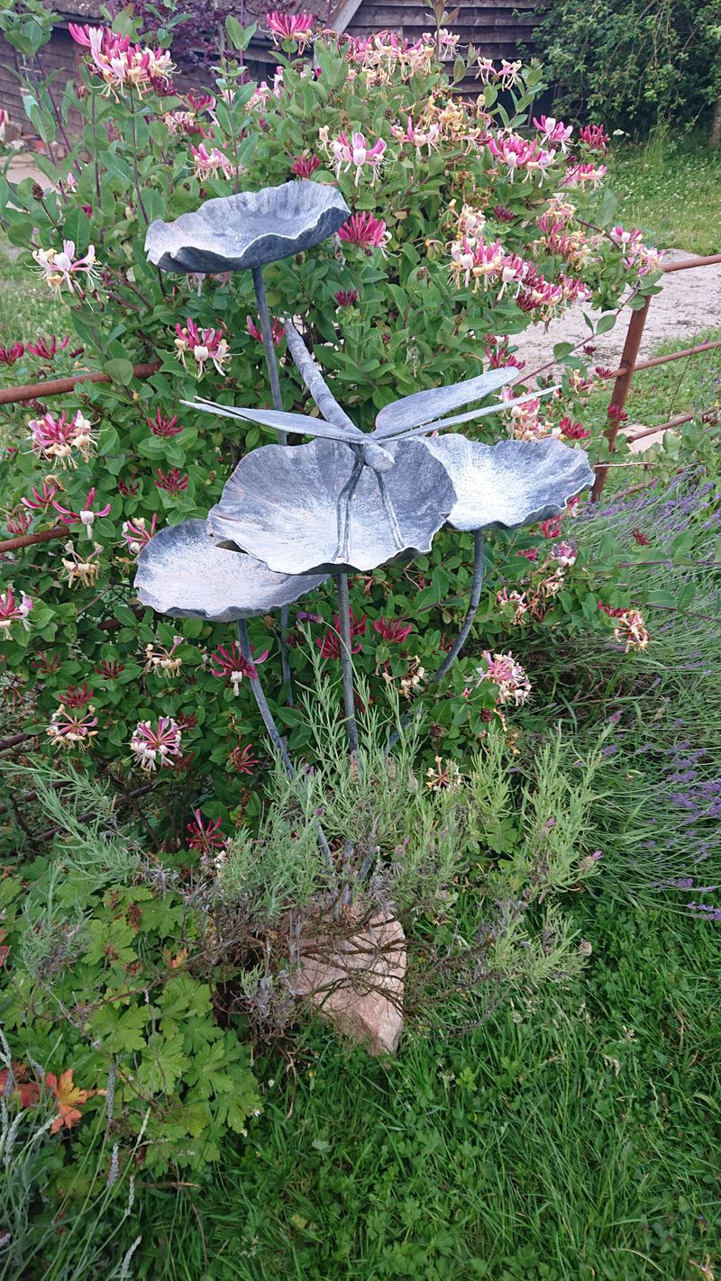 Dragonfly on lily pads