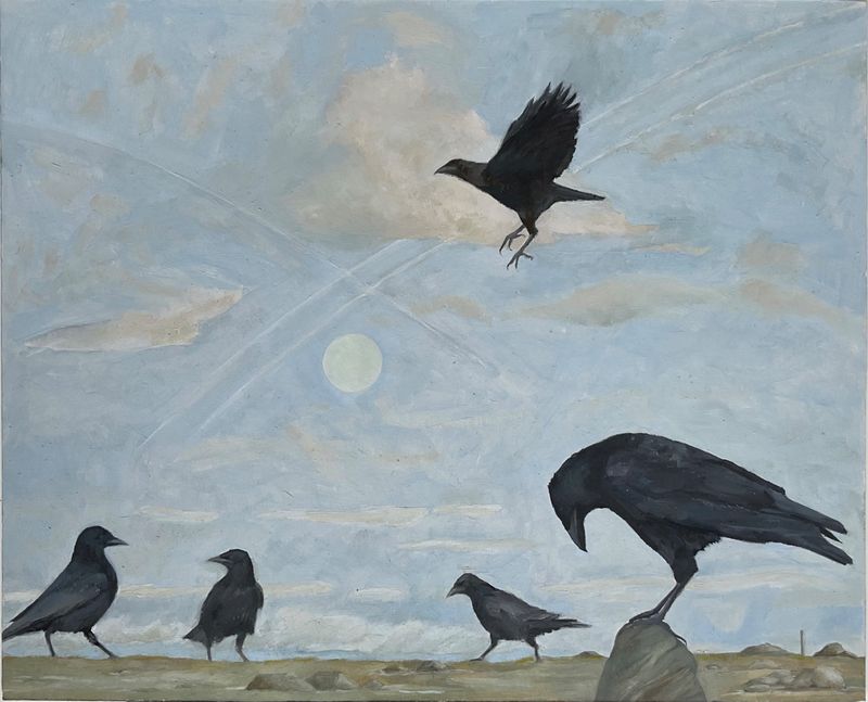 Crows