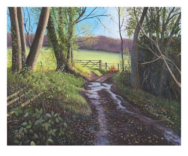 Meadows below The British Camp