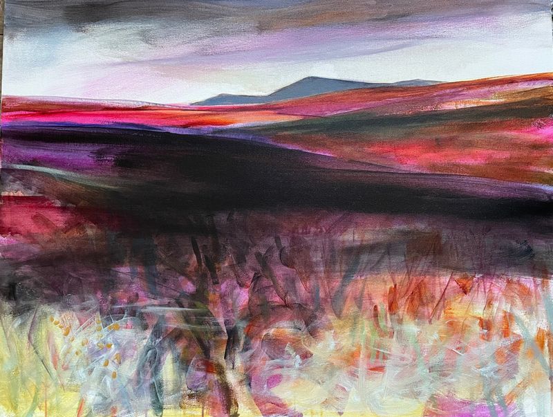 Flow Country Sutherland