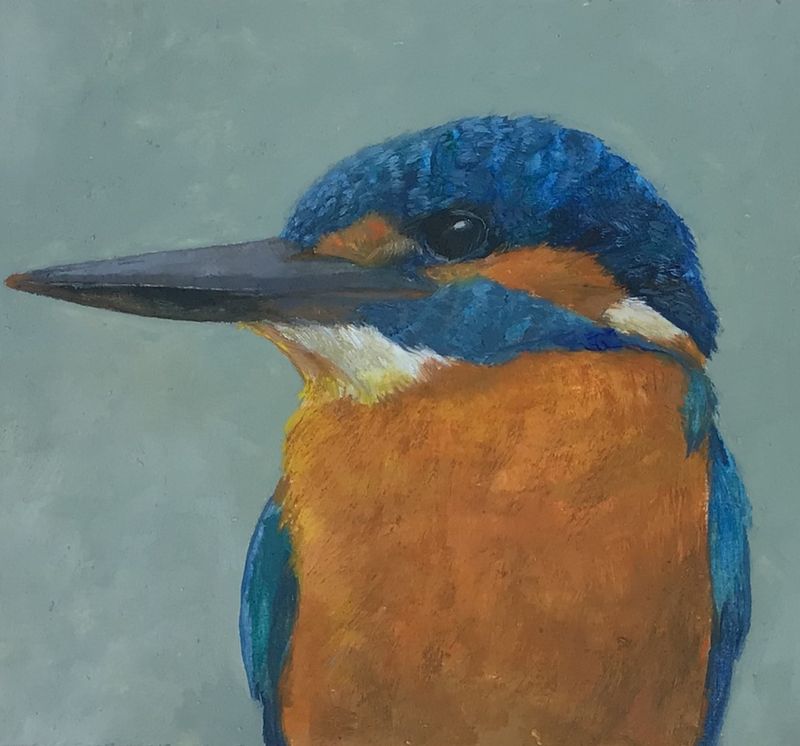 Kingfisher