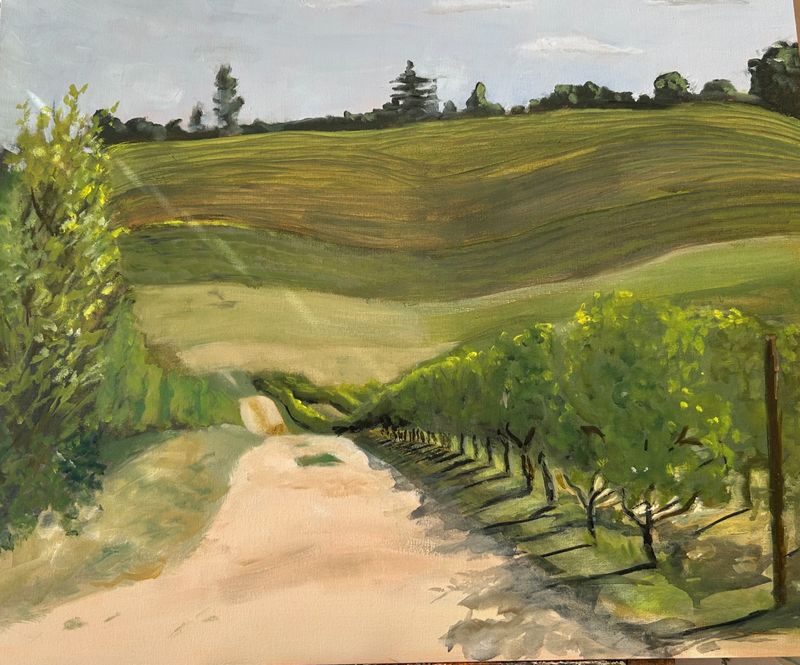 Vineyard Track