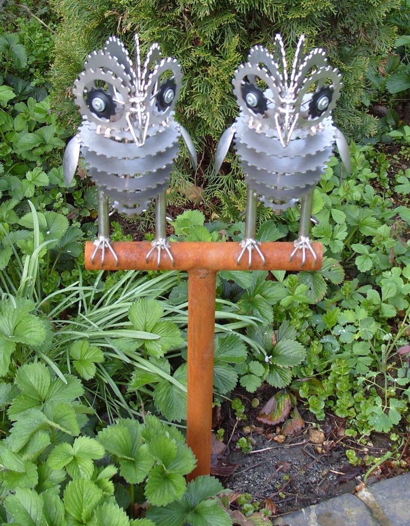 Owl Pair