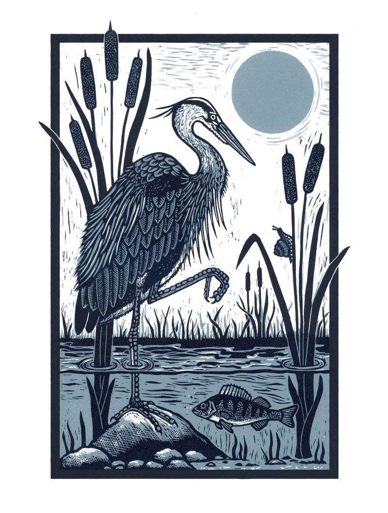 The Heron & The Perch