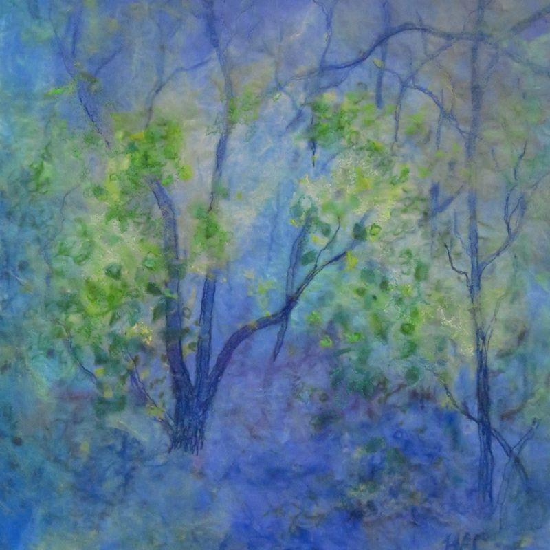 Walking Through Bluebells