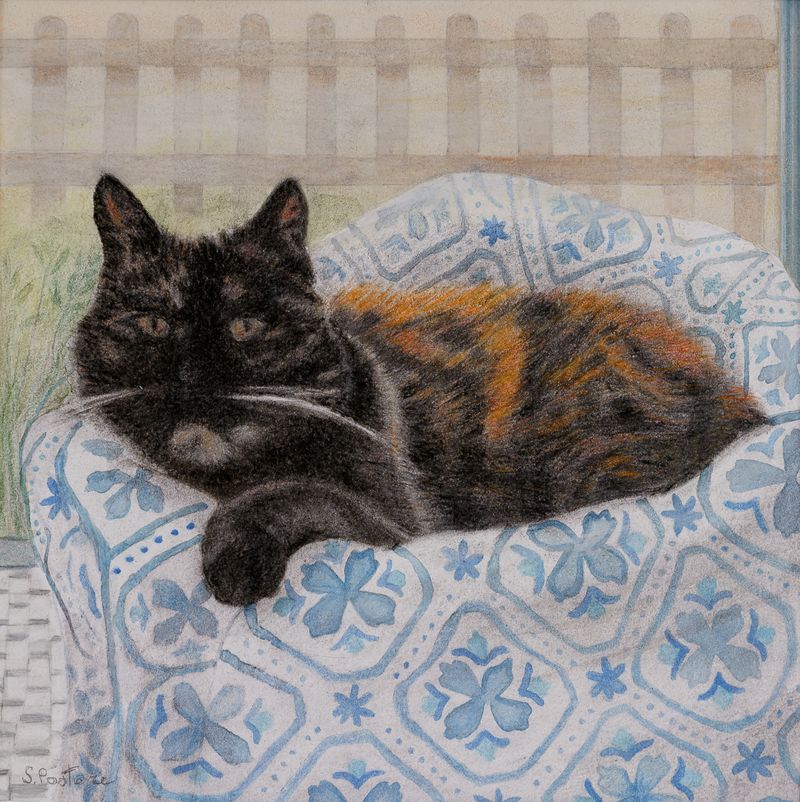 My 20year old Urania