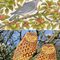 Apple Harvest - Jennifer Chance, Sgraffito Owls - Ellie Tarratt