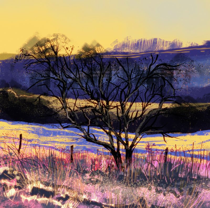 Early Frost 3/2025