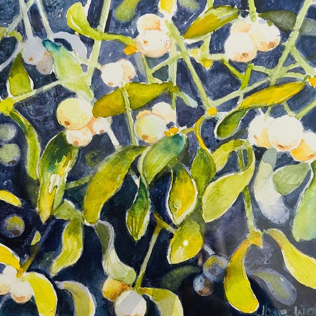 Mistletoe