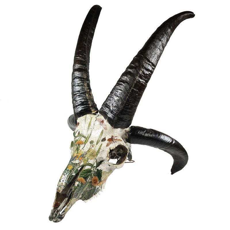 Evening in the Meadow