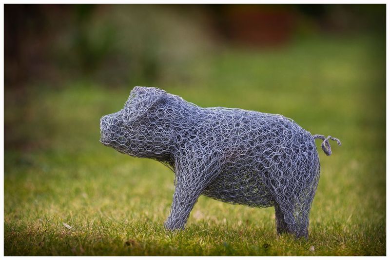 chicken wire sculptures