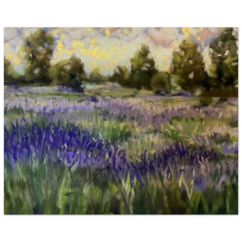 Cotswold Lavender Farm, Broadway