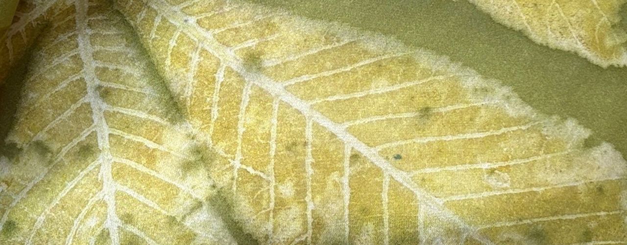 Close up of Botanically Printed Horse Chestnut Leaf on Naturally Hand Dyed Silk