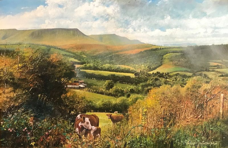Hay Bluff with cow and calf