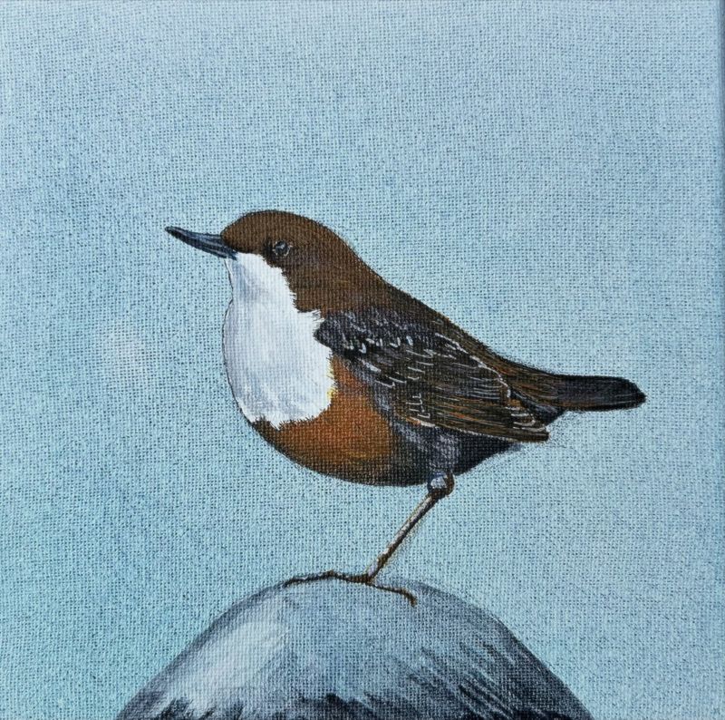 Dipper Dipping